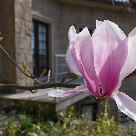 Alvores Do Tempo - Quinta De Turismo Rural Pensionat Castro Daire Exteriör bild