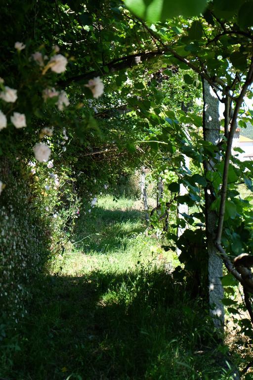 Alvores Do Tempo - Quinta De Turismo Rural Pensionat Castro Daire Exteriör bild