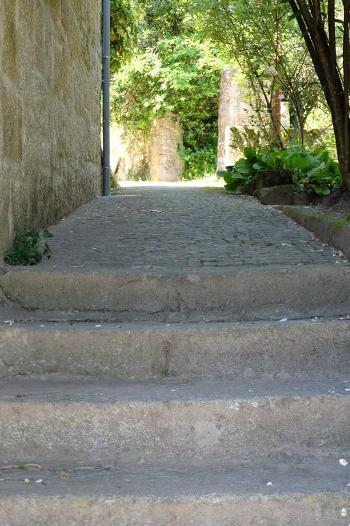 Alvores Do Tempo - Quinta De Turismo Rural Pensionat Castro Daire Exteriör bild