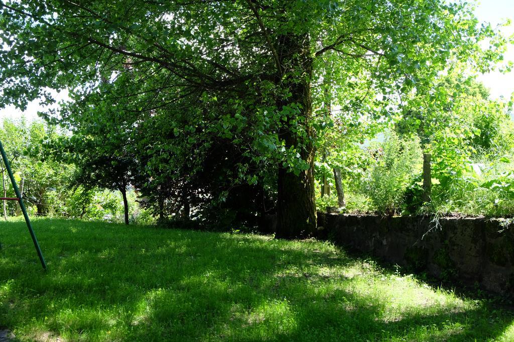 Alvores Do Tempo - Quinta De Turismo Rural Pensionat Castro Daire Exteriör bild