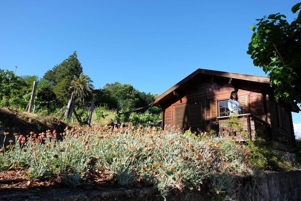 Alvores Do Tempo - Quinta De Turismo Rural Pensionat Castro Daire Exteriör bild