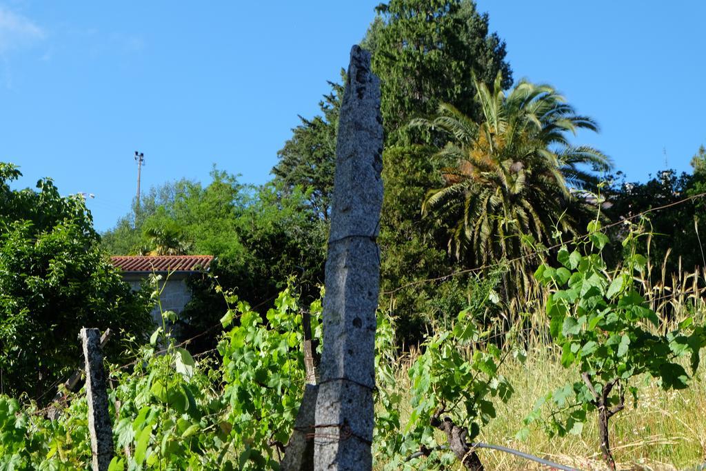 Alvores Do Tempo - Quinta De Turismo Rural Pensionat Castro Daire Exteriör bild