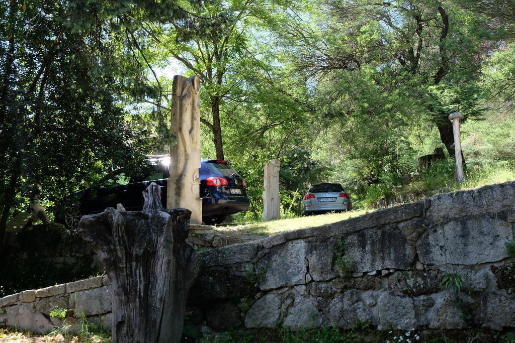 Alvores Do Tempo - Quinta De Turismo Rural Pensionat Castro Daire Exteriör bild