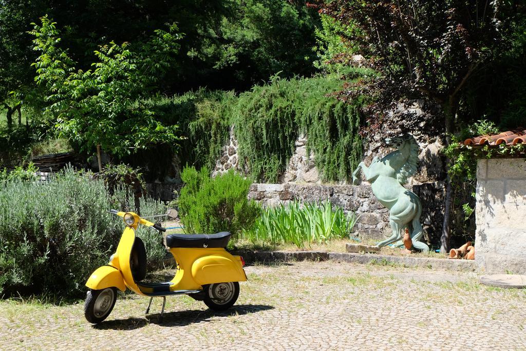 Alvores Do Tempo - Quinta De Turismo Rural Pensionat Castro Daire Exteriör bild