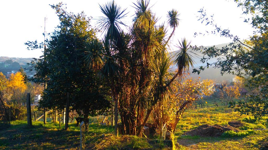 Alvores Do Tempo - Quinta De Turismo Rural Pensionat Castro Daire Exteriör bild