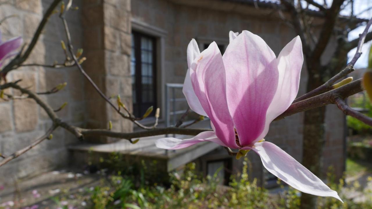 Alvores Do Tempo - Quinta De Turismo Rural Pensionat Castro Daire Exteriör bild